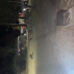 kangaroos were regular visitors