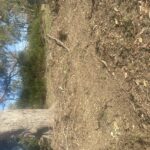 Dried mud and debris was a challenge.  So too were snakes.