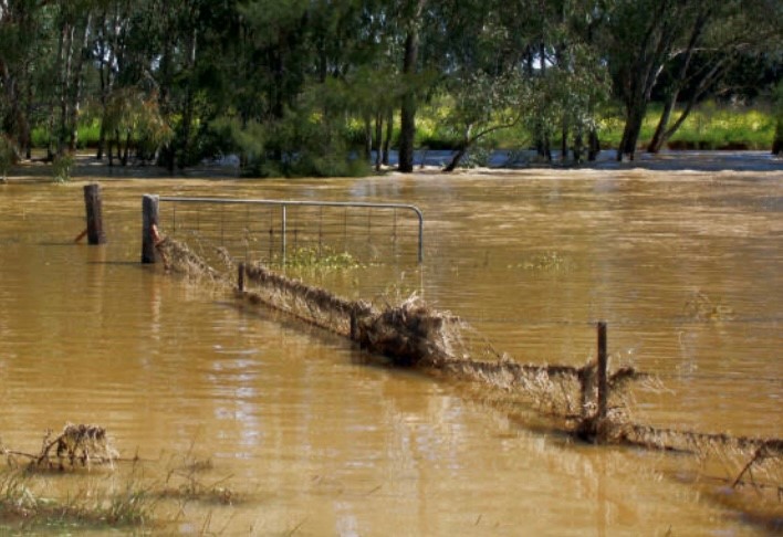 flooded farm